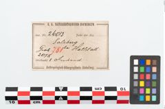 Etikett zu Bronzeknotenarmreif (NHMW-PRAE-026013)